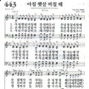 새찬송가 443 장 - 아침 햇살 비칠 때 [찬양*악보] 이미지