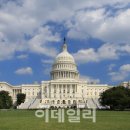 갈리지 이미지