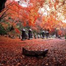 옛집멸치국수 이미지