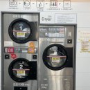 워시팡팡 이미지