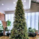 보리수 | 전북 익산 여산 보리수카페, 캠핑장 캠크닉~ 솔직 후기!