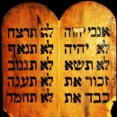 토라(Torah) 이미지