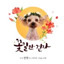 견생맛집 이미지