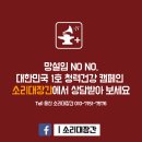 청각관리센터소리대장간진접 | 울산 이명 난청 치료 :: 소리대장간 브라질 TSC 사용후기