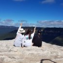 지그재그 - 결합 이미지