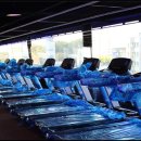 내몸에 라인을 더하다 이미지