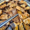 강남 갈매기
