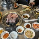 누나네연탄불생고기 | 재방문한 속초 맛집 연탄불생고기 내돈내산 후기