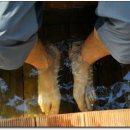 힐링우드2 이미지