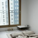 해담동물의료센터 이미지