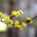 행복한IPARK공인중개사사무소 이미지