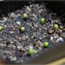 (주)아이큐비 이미지