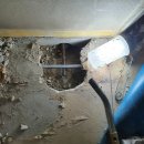 그린 (212) 이미지