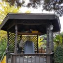 제일초등학교 이미지