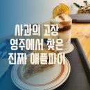 영주 애플빈커피는 부석사 여행코스 중 가볼만한 곳,애플파이가 자꾸 생각나요