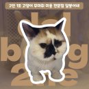 달봉이네 대연점 이미지