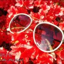 갤러리안경원 아시아드점 | 썬글라스~ 스펙탑클로 여름준비완료!!