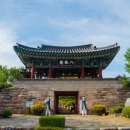 청풍초 | 고향 청풍면, 북한도 아닌데 못 간답니다