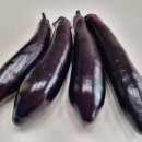 백신농장 이미지