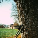 맨발걷기(노르딕워킹) 이미지