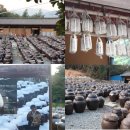 호정농장 이미지