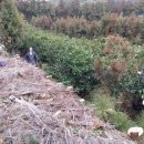 우용농원 이미지