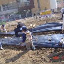 치우농장 이미지