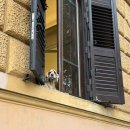 ROMA - 2