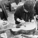 피노펠리즈 이미지