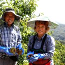 윤기농장 이미지