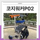손목경로당 | 허리가 안좋은 어르신, 노인 주목! 기대 쓸 수 있는 어깨보행차, 코지워커 P02 후기
