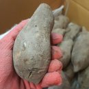 운도유지 이미지