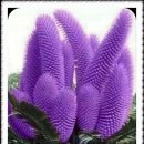 마전경로당 이미지