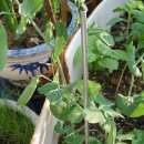 한열농장 이미지