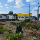 <흙 속의 숨결> 이미지