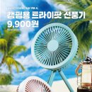 케이티앤코