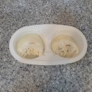 아이스쿠키 이미지