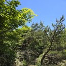 애월읍충혼묘지 | 한라산 윗세오름