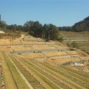 자연장지 이미지