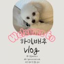 다듬잇돌세탁 | 아이와 가볼 만한 곳, 롯데월드 가기 전 필수 확인 | 롯데월드 7살 아이 맞춤형 갓벽 코스🎈