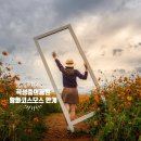 충의공원(충혼탑) 이미지