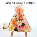 늘솜아토