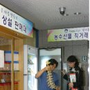 월호동주민자치센터 이미지