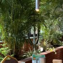 장항고기백화점 이미지