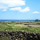 예그리나 호스텔 이미지