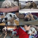 김윤영 농장 이미지