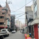 현대자동차대흥점 | 경의선숲길 벚꽃 개화상황 2024년 4월 8일 월요일 대흥역 공덕역 사이 구간