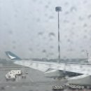 쇼피몰리 이미지