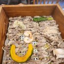 화성회관 | 편백회관 화성 향남점 내돈내산 후기