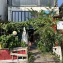 이미란 | 대전 이미란 꽃집 : 내돈내산 후기_작은 꽃다발 예쁘게